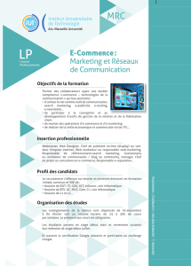 E-Commerce : Marketing et Réseaux de Communication