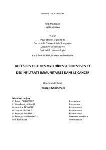 roles des cellules myeloïdes suppressives et des infiltrats