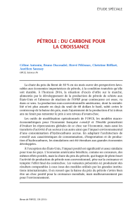 Pétrole : du carbone pour la croissance - OFCE