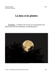 La lune et les plantes