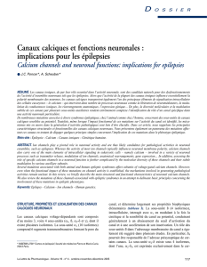 Canaux calciques et fonctions neuronales