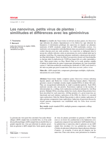 Les nanovirus, petits virus de plantes : similitudes et différences