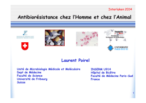 Antibiorésistance chez l`Homme et chez l`Animal Laurent Poirel