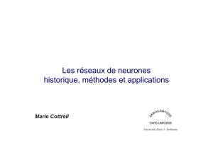 Les réseaux de neurones historique, méthodes et