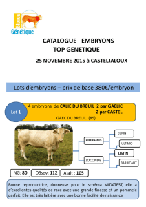 Catalogue Embryons