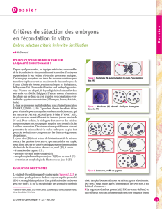 Critère de sélection des embryons en fécondation in vitro – Embryo