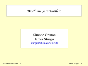Biochimie Structurale 2