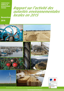 Rapport sur l`activité des autorités environnementales locales en 2015