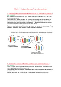 Chapitre 3 : La transmission de l`information génétique I