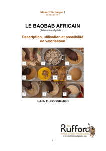 le baobab africain - Rufford Small Grants