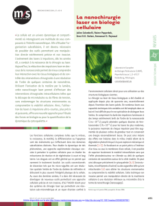 La nanochirurgie laser en biologie cellulaire - iPubli