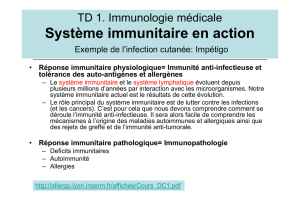 Système immunitaire en action