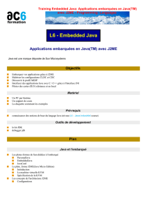 Training Embedded Java: Applications embarquées en Java<SUP