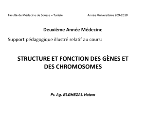 structure et fonction des gènes et des chromosomes