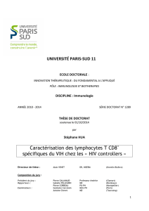 Caractérisation des lymphocytes T CD8+ spécifiques du