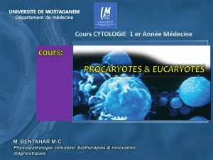 Procaryotes et eucaryotes