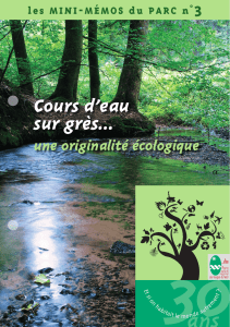 Cours d`eau sur grès… - Parc naturel régional des Vosges du Nord