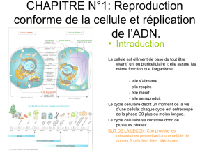 CHAPITRE N°1: Reproduction conforme de la cellule et réplication