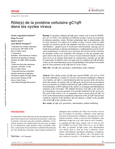 Rôle(s) de la protéine cellulaire gC1qR dans les cycles viraux
