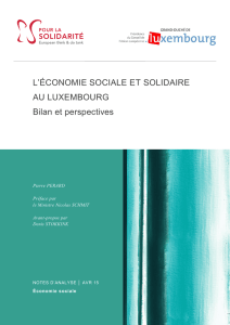 L`&eacute;conomie sociale et solidaire au Luxembourg, Bilan et