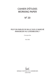 cahier d`études working paper n° 20