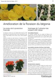 Amélioration de la floraison du bégonia