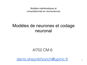 Modèles de neurones et codage neuronal