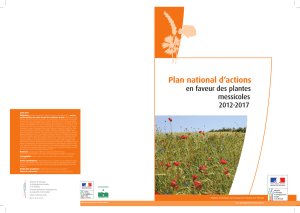 Plan national d`actions