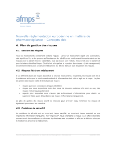 Plan de gestion des risques