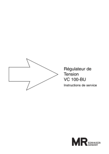 Régulateur de Tension VC 100-BU