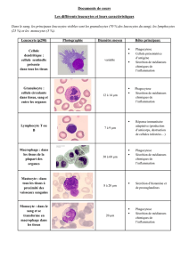 Documents de cours Les différents leucocytes et leurs