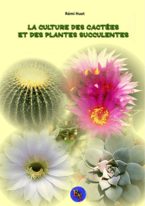 La culture des cactées et plantes succulentes