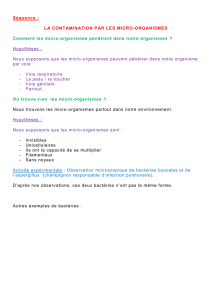 Contamination par les micro