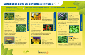 Distribution de fleurs annuelles et vivaces 2017