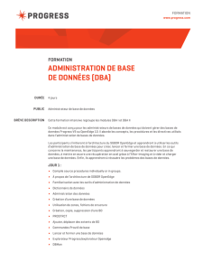 ADMINISTRATION DE BASE DE DONNÉES (DBA)