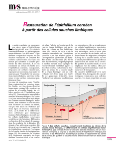 Restauration de l`épithélium cornéen à partir des - iPubli