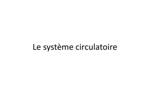 Le système circulatoire