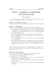TD11 : Algèbre et géométrie, Nullstellensatz