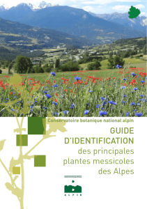 GUIDE D`IDENTIFICATION des principales plantes messicoles des