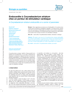 Endocardite à Corynebacterium striatum chez un porteur de