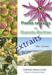 Plantes sauvages de Charente-Maritime - Extraits
