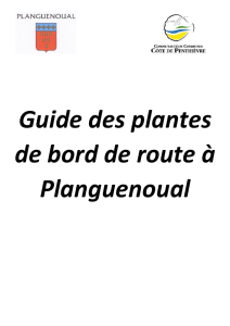 Guide des plantes de bord de route à Planguenoual