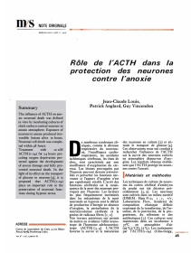 l`A CTH R&ocirc;le de protection contre dans la des neurones l`anoxie