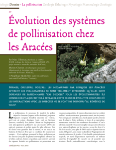 Évolution des systèmes de pollinisation chez les Aracées (PDF