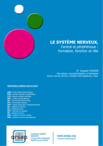 le système nerveux