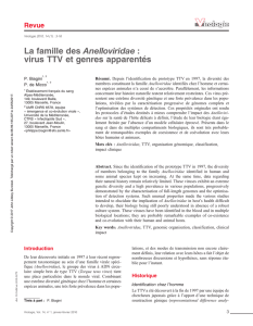 La famille des Anelloviridae : virus TTV et