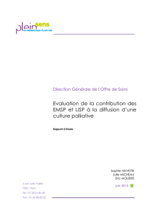 Evaluation contribution EMSP et LISP diffusion culture palliative