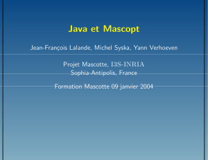 Java et Mascopt - Sophia Antipolis - Méditerranée