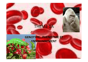 CHAPITRE N°4 génotype phénotype et environnement 2013 [Mode