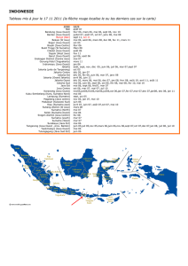 indonesie - DASS-NC